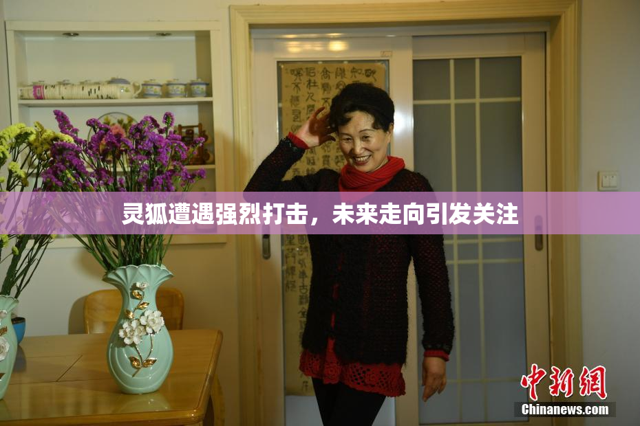 灵狐遭遇强烈打击，未来走向引发关注