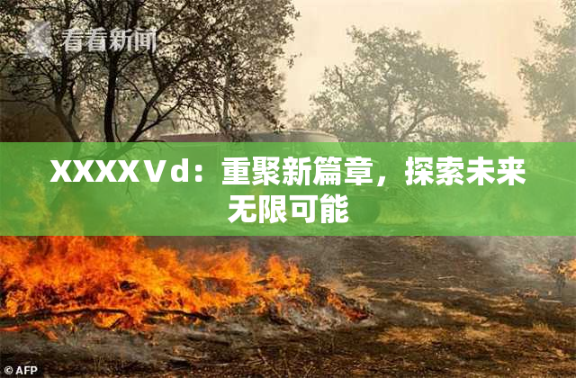 XXXXⅤd：重聚新篇章，探索未来无限可能
