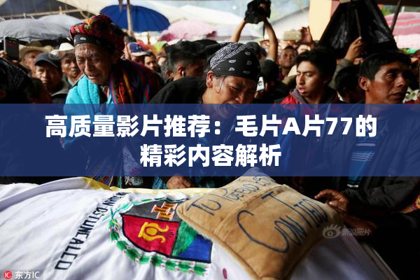 高质量影片推荐：毛片A片77的精彩内容解析