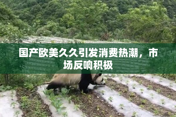 国产欧美久久引发消费热潮，市场反响积极