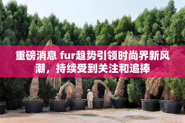 重磅消息 fur趋势引领时尚界新风潮，持续受到关注和追捧