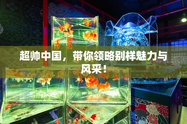 超帅中国，带你领略别样魅力与风采！