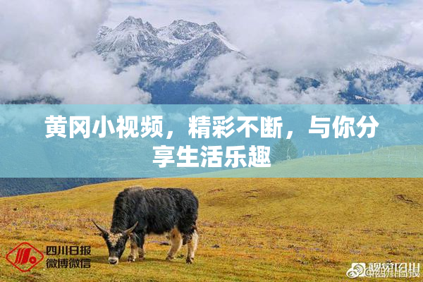 黄冈小视频，精彩不断，与你分享生活乐趣