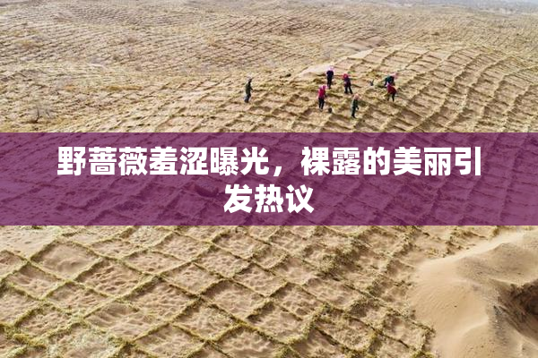 野蔷薇羞涩曝光，裸露的美丽引发热议