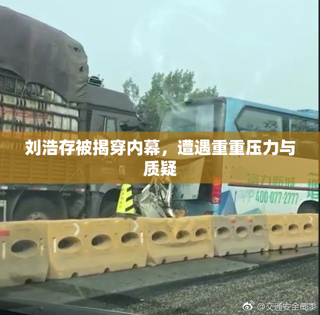 刘浩存被揭穿内幕，遭遇重重压力与质疑