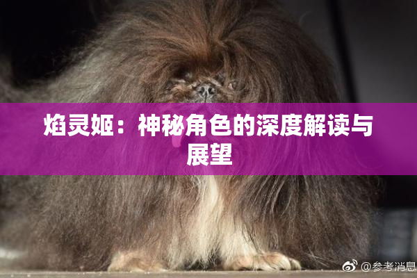 焰灵姬：神秘角色的深度解读与展望