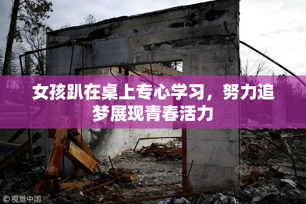 女孩趴在桌上专心学习，努力追梦展现青春活力