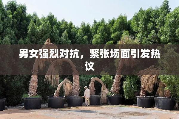 男女强烈对抗，紧张场面引发热议