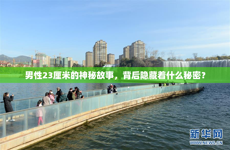 男性23厘米的神秘故事，背后隐藏着什么秘密？