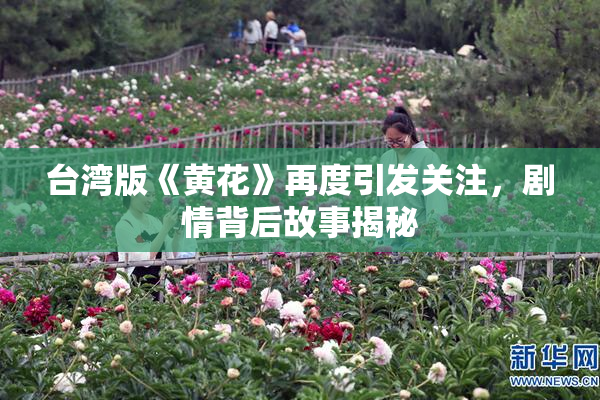 台湾版《黄花》再度引发关注，剧情背后故事揭秘