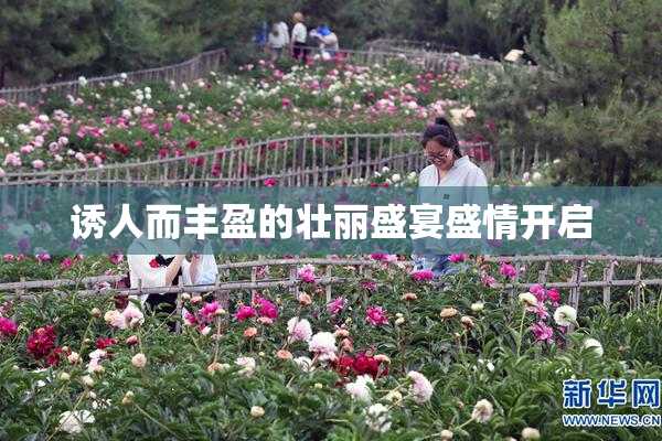 诱人而丰盈的壮丽盛宴盛情开启