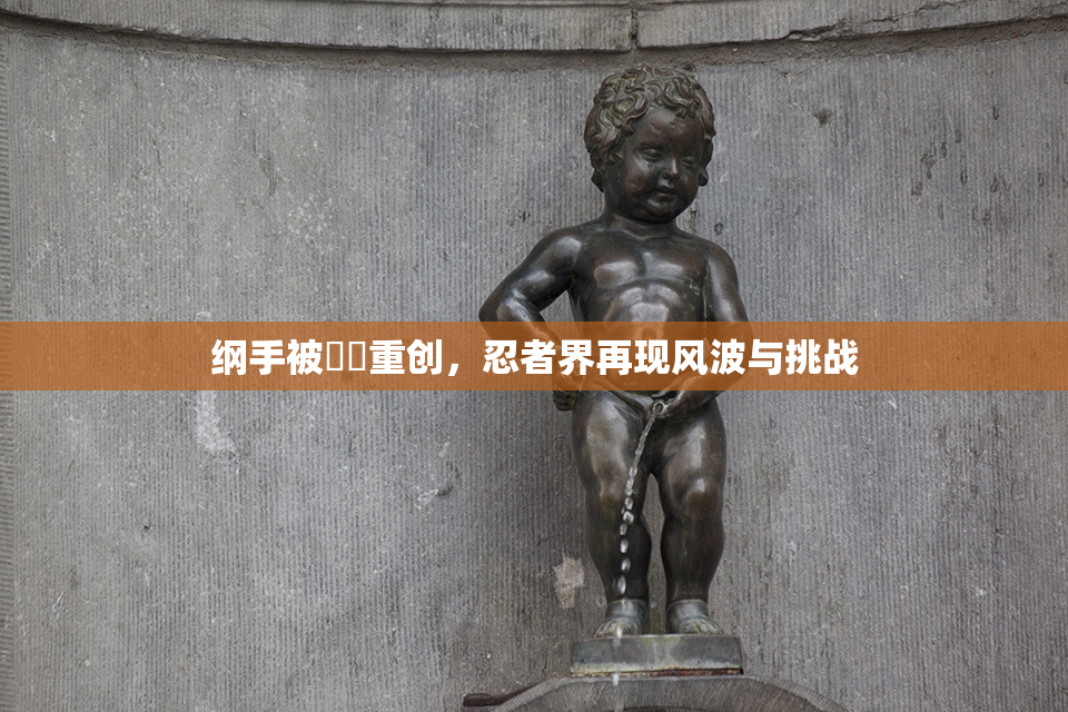 纲手被❌‌重创，忍者界再现风波与挑战