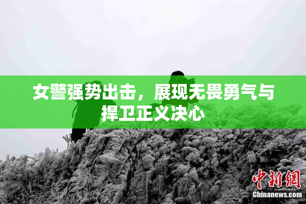 女警强势出击，展现无畏勇气与捍卫正义决心