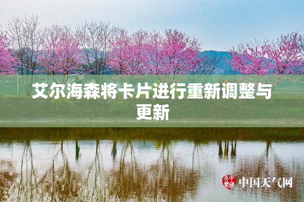 艾尔海森将卡片进行重新调整与更新