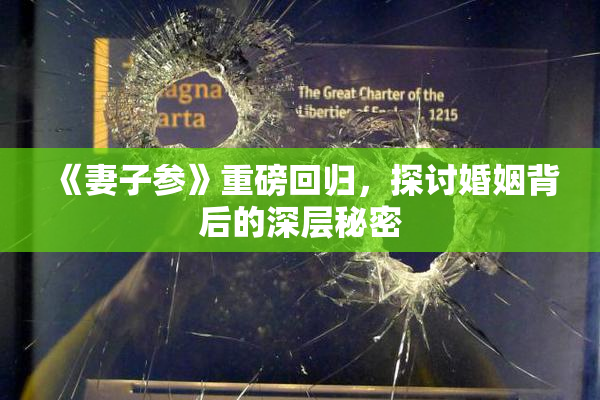 《妻子参》重磅回归，探讨婚姻背后的深层秘密