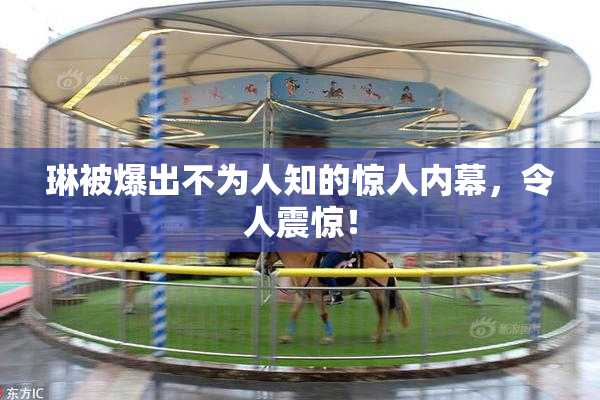 琳被爆出不为人知的惊人内幕，令人震惊！