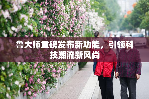 鲁大师重磅发布新功能，引领科技潮流新风尚