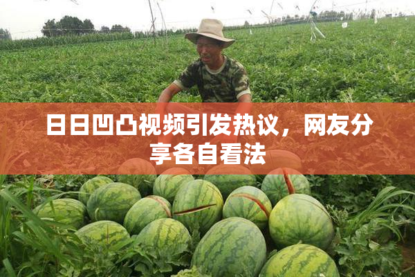 日日凹凸视频引发热议，网友分享各自看法