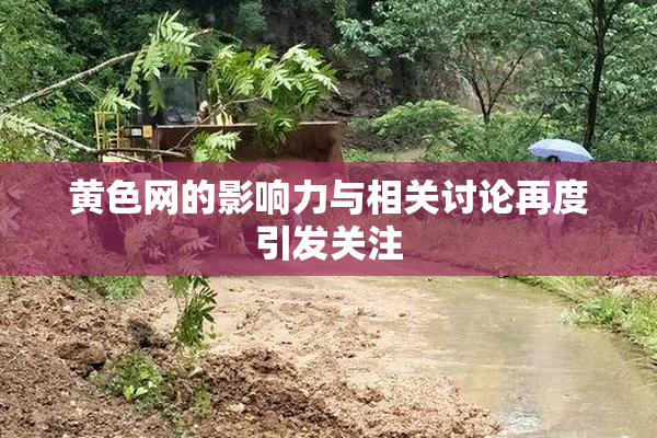 黄色网的影响力与相关讨论再度引发关注