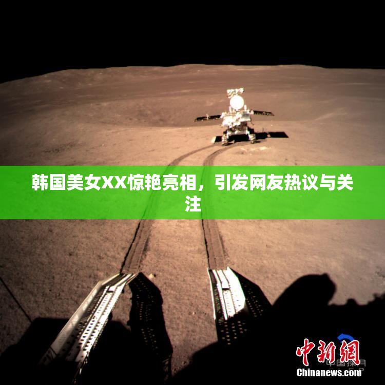 韩国美女XX惊艳亮相，引发网友热议与关注