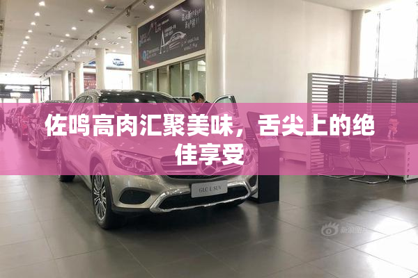 佐鸣高肉汇聚美味，舌尖上的绝佳享受