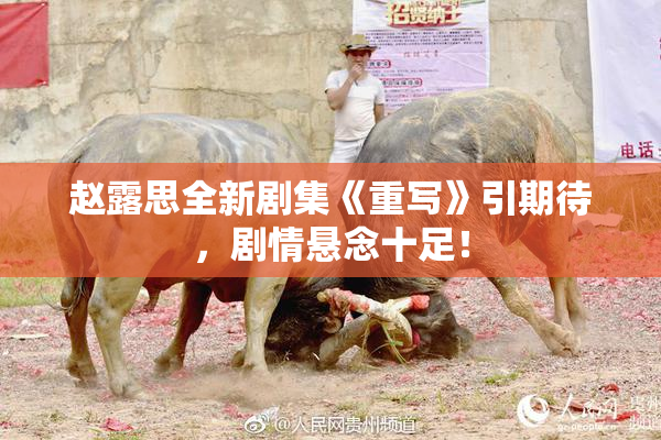 赵露思全新剧集《重写》引期待，剧情悬念十足！