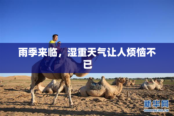 雨季来临，湿重天气让人烦恼不已