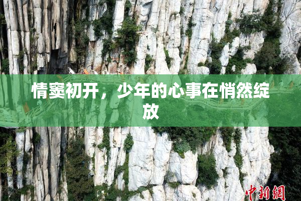 情窦初开，少年的心事在悄然绽放