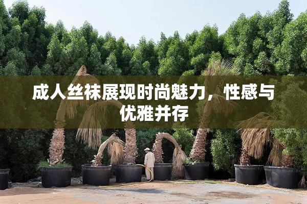 成人丝袜展现时尚魅力，性感与优雅并存
