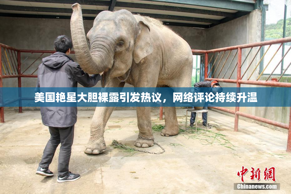 美国艳星大胆裸露引发热议，网络评论持续升温