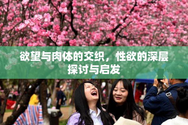 欲望与肉体的交织，性欲的深层探讨与启发