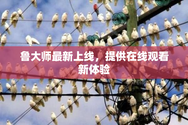 鲁大师最新上线，提供在线观看新体验