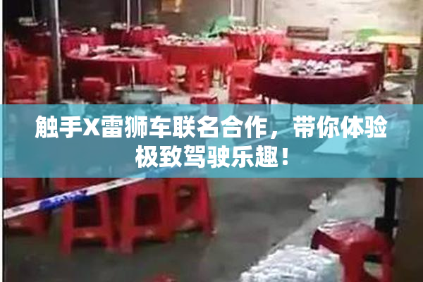 触手X雷狮车联名合作，带你体验极致驾驶乐趣！