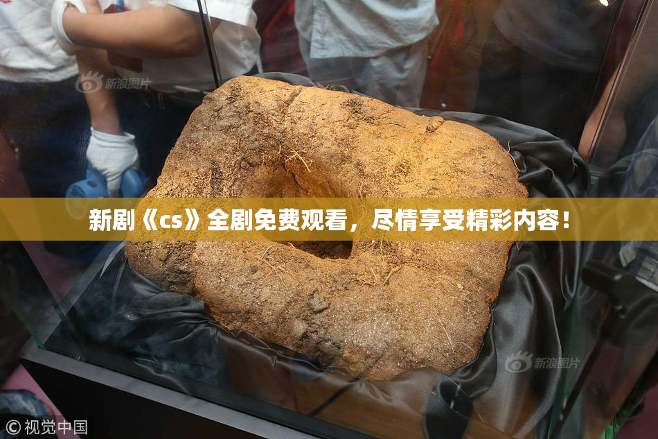 新剧《cs》全剧免费观看，尽情享受精彩内容！