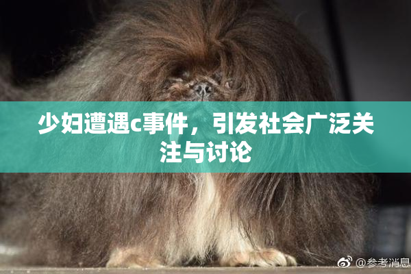 少妇遭遇c事件，引发社会广泛关注与讨论
