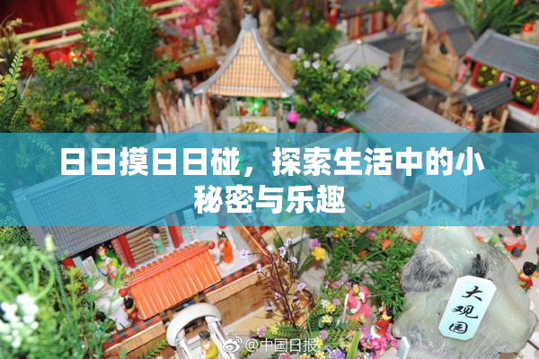 日日摸日日碰，探索生活中的小秘密与乐趣