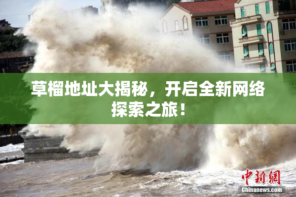 草榴地址大揭秘，开启全新网络探索之旅！
