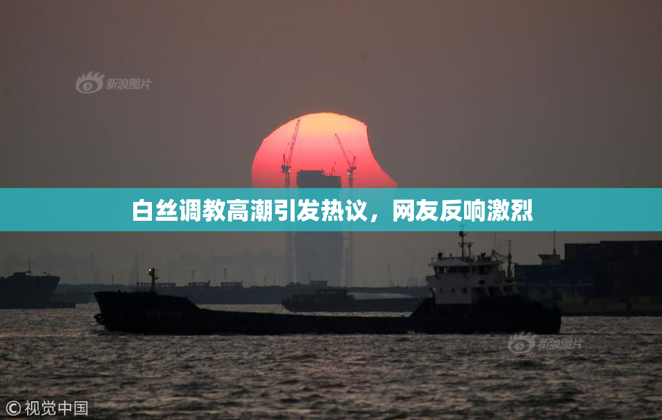 白丝调教高潮引发热议，网友反响激烈