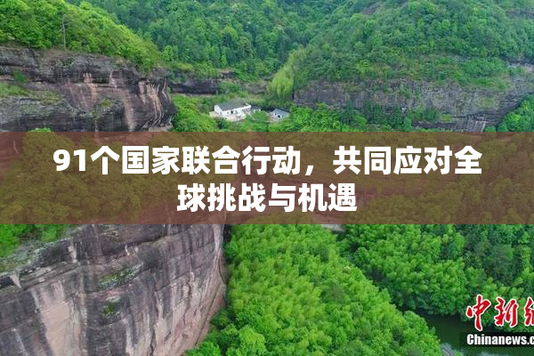 91个国家联合行动，共同应对全球挑战与机遇