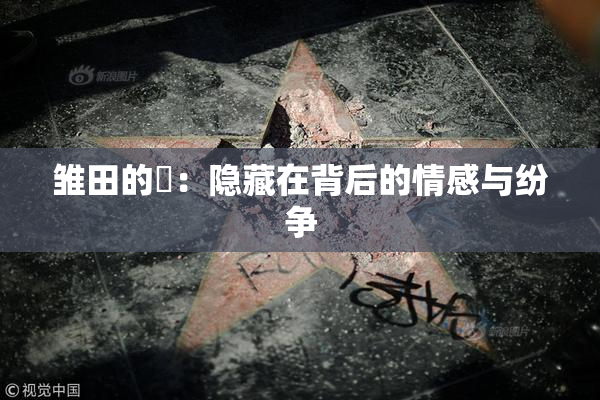 雏田的婬：隐藏在背后的情感与纷争