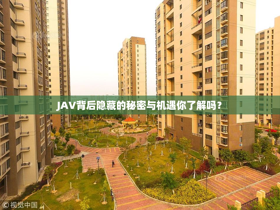 JAV背后隐藏的秘密与机遇你了解吗？
