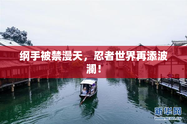 纲手被禁漫天，忍者世界再添波澜！