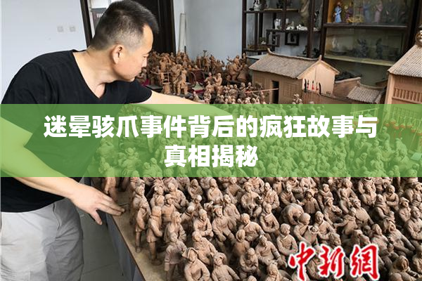 迷晕骇爪事件背后的疯狂故事与真相揭秘
