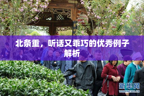 北条重，听话又乖巧的优秀例子解析