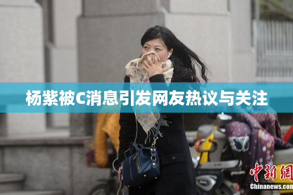 杨紫被C消息引发网友热议与关注