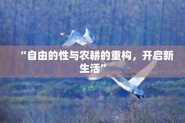“自由的性与农耕的重构，开启新生活”