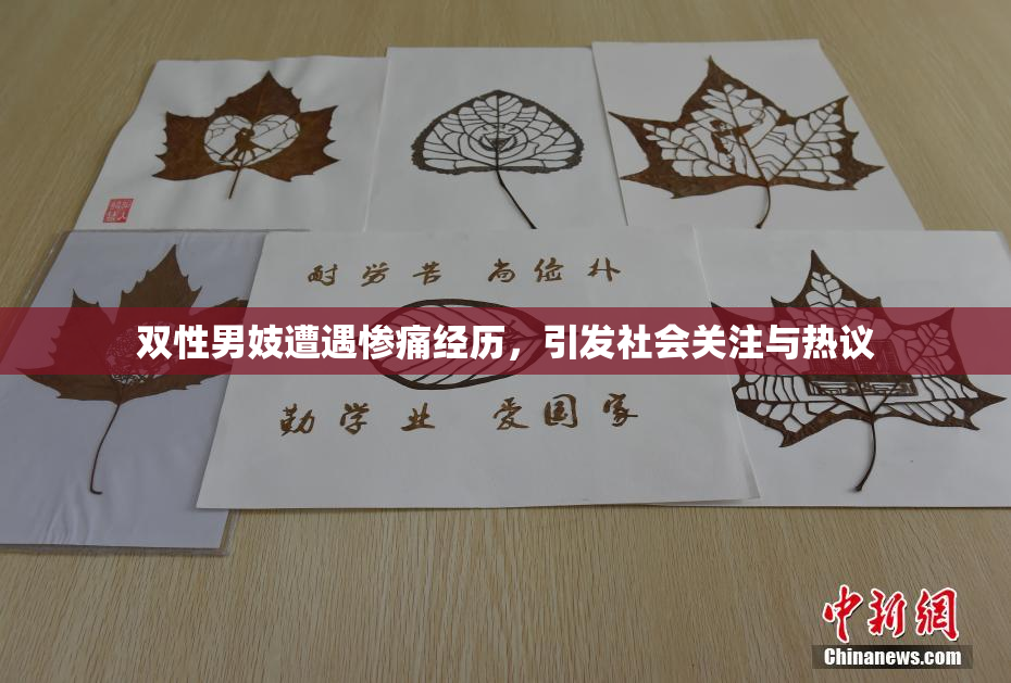 双性男妓遭遇惨痛经历，引发社会关注与热议
