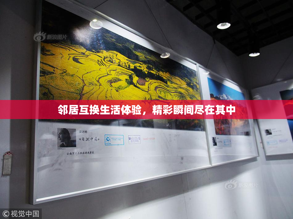 邻居互换生活体验，精彩瞬间尽在其中
