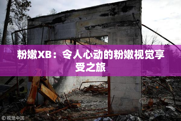 粉嫩XB：令人心动的粉嫩视觉享受之旅