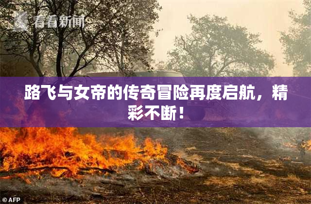路飞与女帝的传奇冒险再度启航，精彩不断！